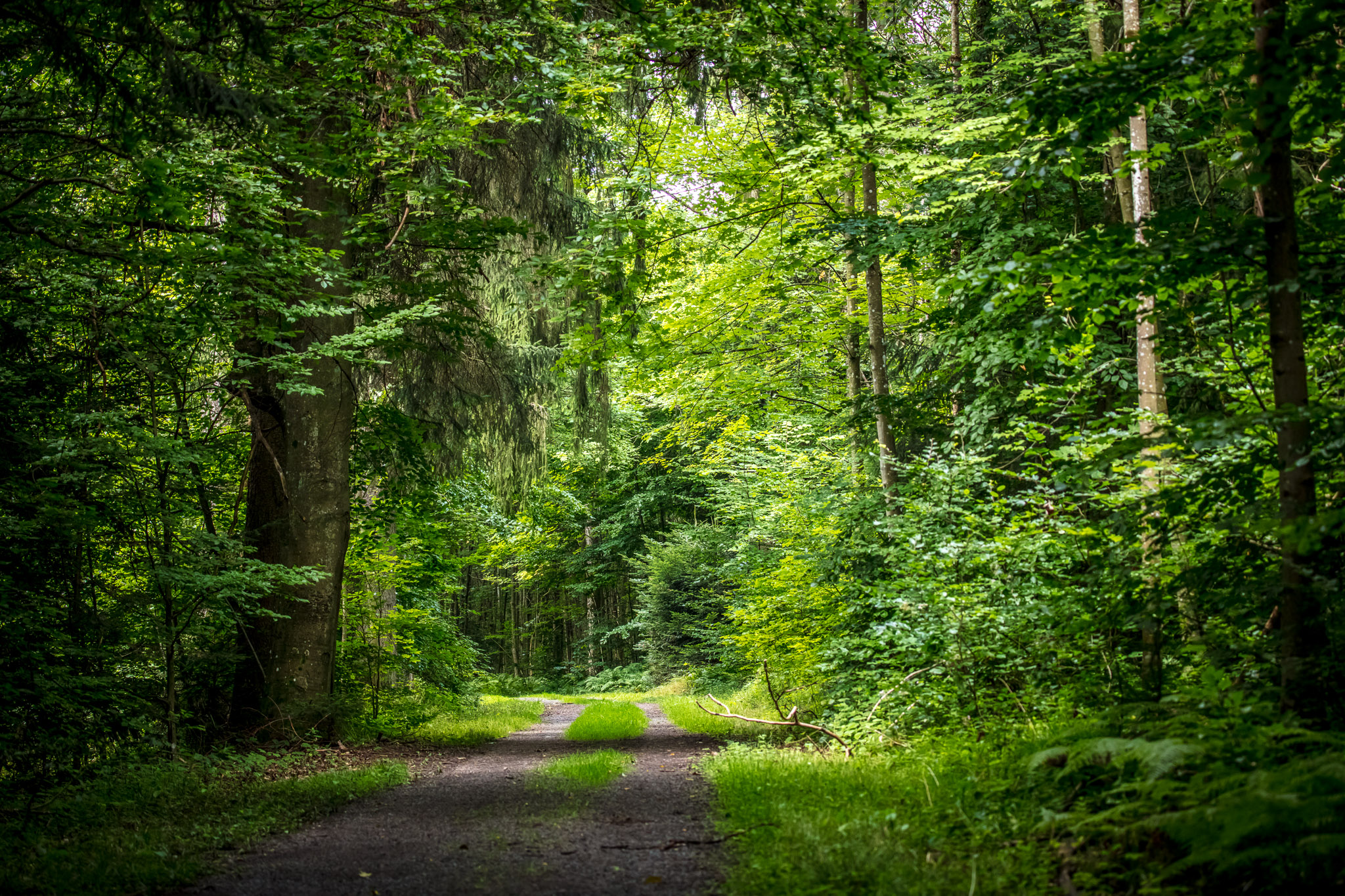 20210725104701 017925